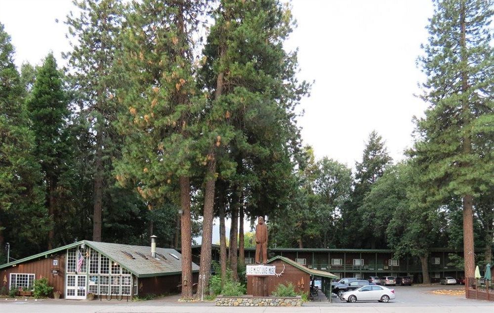 Shasta Inn Mount Shasta Exteriör bild